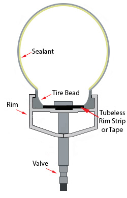 Tubeless Rim/Tire Cross-Section
